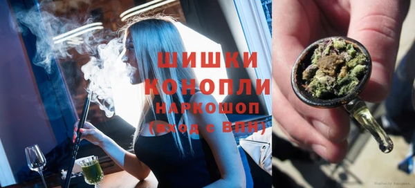 Альфа ПВП Аркадак