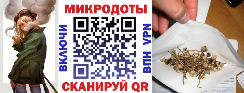 Купить закладки  Апшеронск  Галлюциногенные грибы GOLDEN TEACHER 