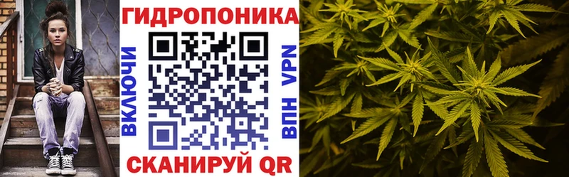 Каннабис планчик Апшеронск